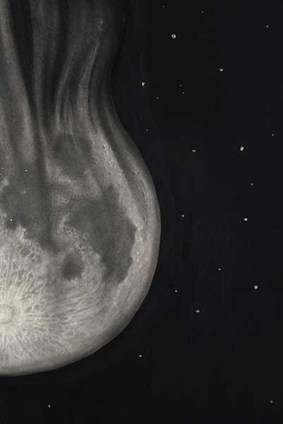 'Madre' Limited Edition